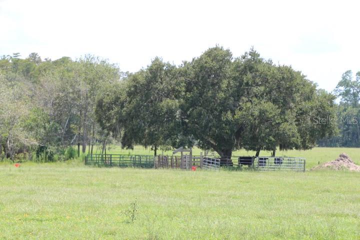 Green Swamp Rd Property Photo 25
