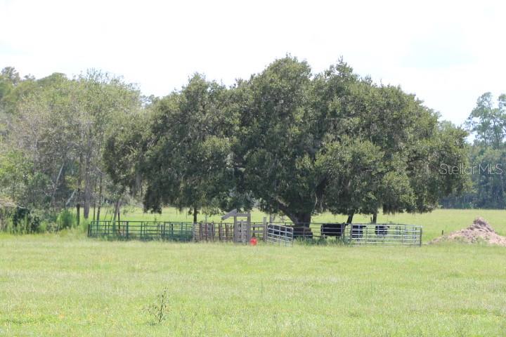Green Swamp Rd Property Photo 26