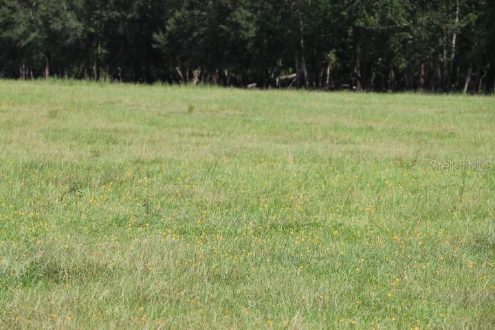 Green Swamp Rd Property Photo 28