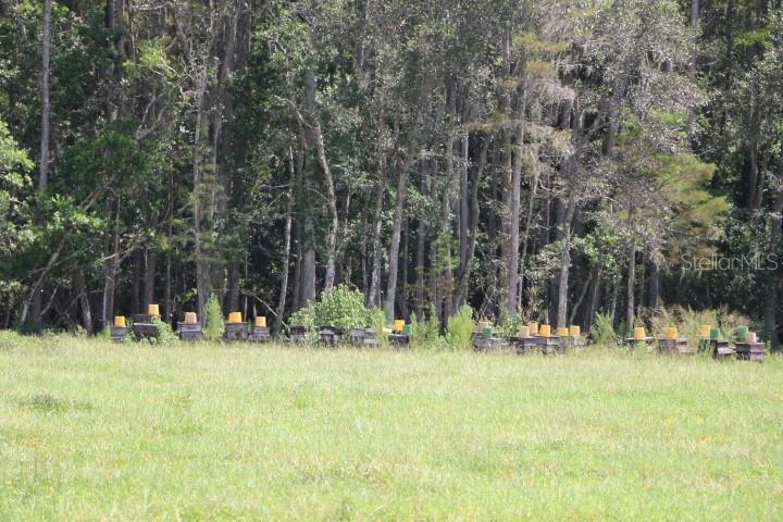 Green Swamp Rd Property Photo 29