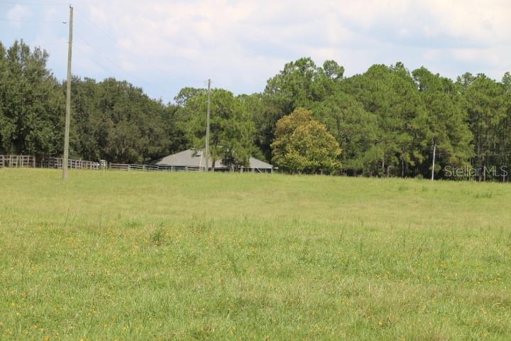 Green Swamp Rd Property Photo 30