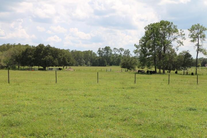 Green Swamp Rd Property Photo 31