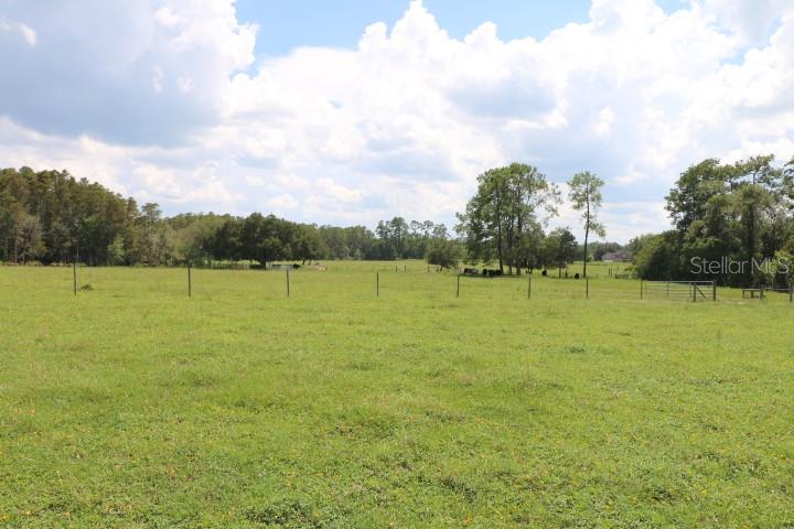 Green Swamp Rd Property Photo 32