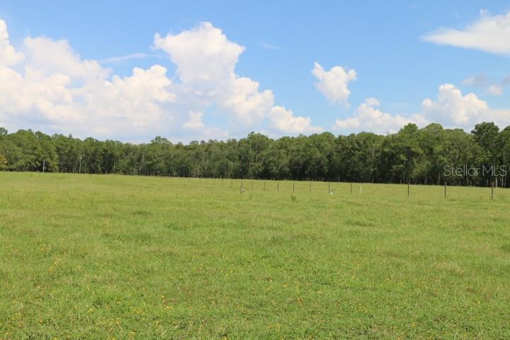Green Swamp Rd Property Photo 33