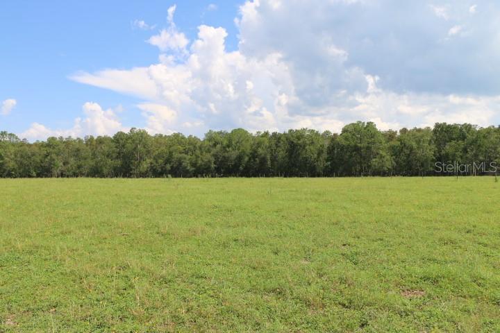 Green Swamp Rd Property Photo 36