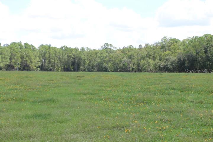 Green Swamp Rd Property Photo 39