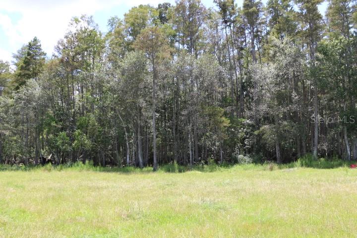 Green Swamp Rd Property Photo 45