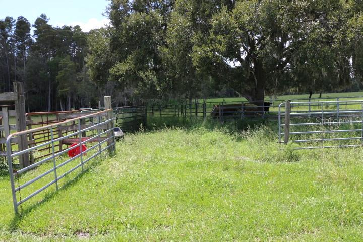 Green Swamp Rd Property Photo 48