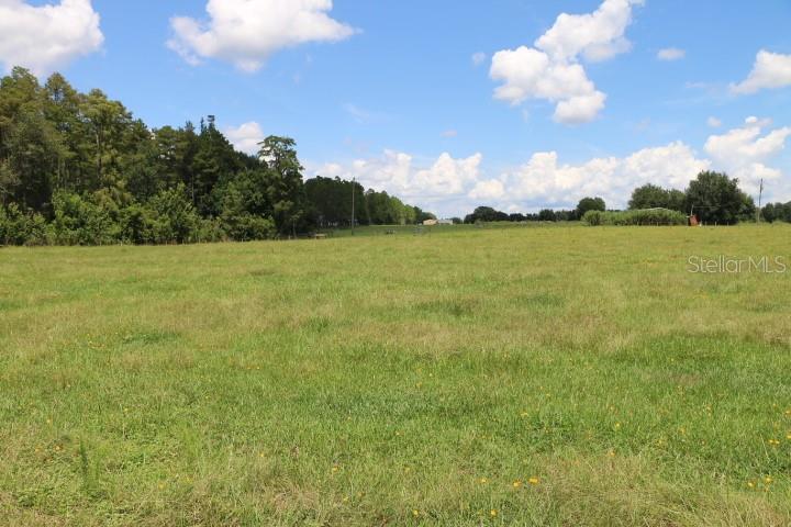 Green Swamp Rd Property Photo 49
