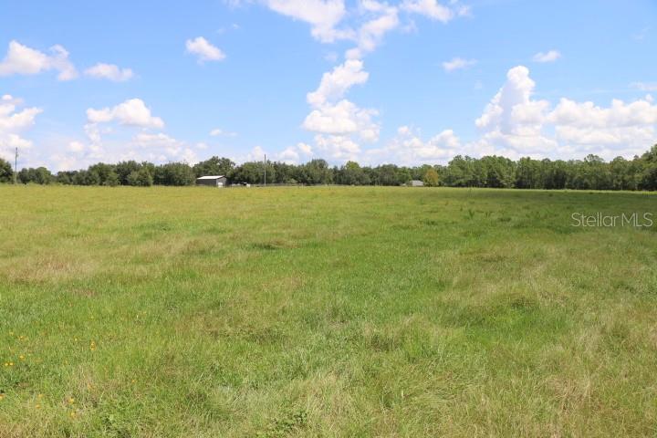 Green Swamp Rd Property Photo 50