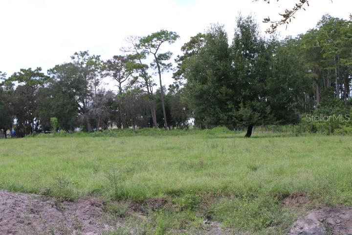 Green Swamp Rd Property Photo 53