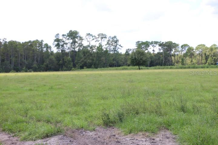 Green Swamp Rd Property Photo 54