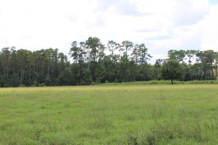 Green Swamp Rd Property Photo 55