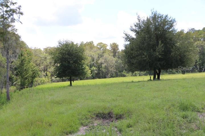 Green Swamp Rd Property Photo 56