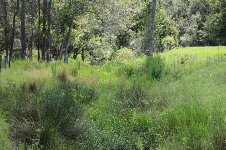 Green Swamp Rd Property Photo 57
