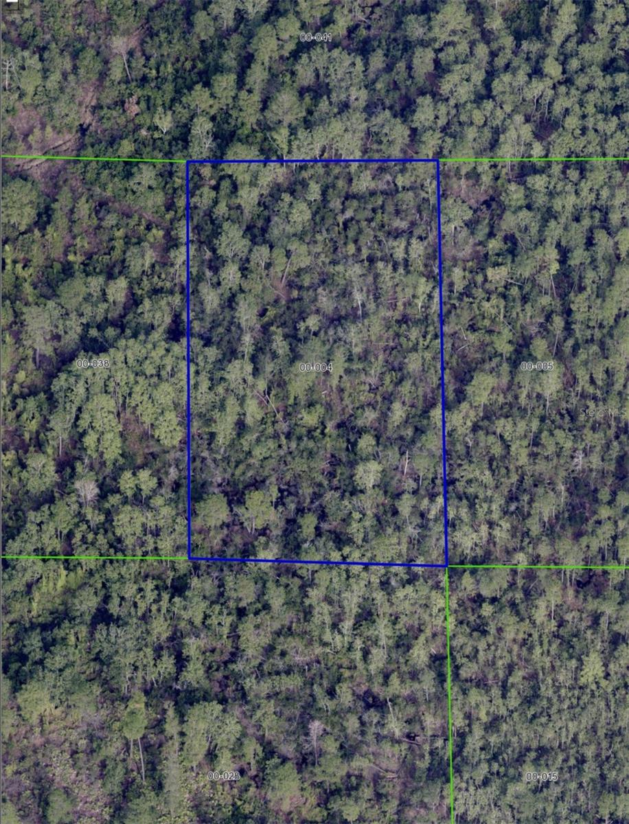 International Dr Property Photo 6
