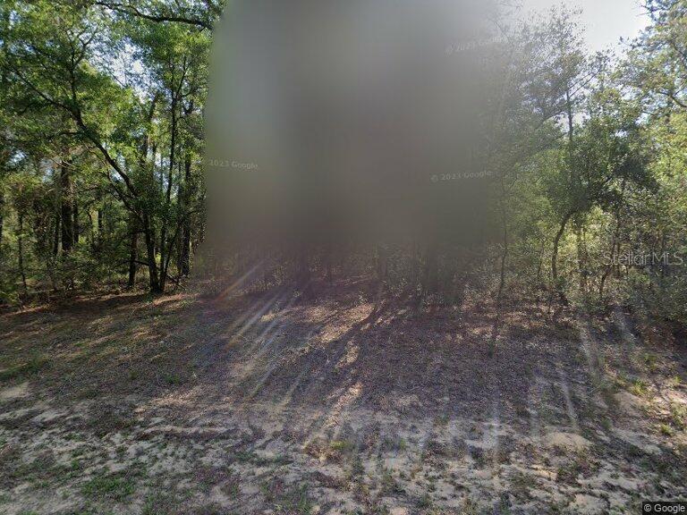 491 E Nemo Dr Property Photo 2