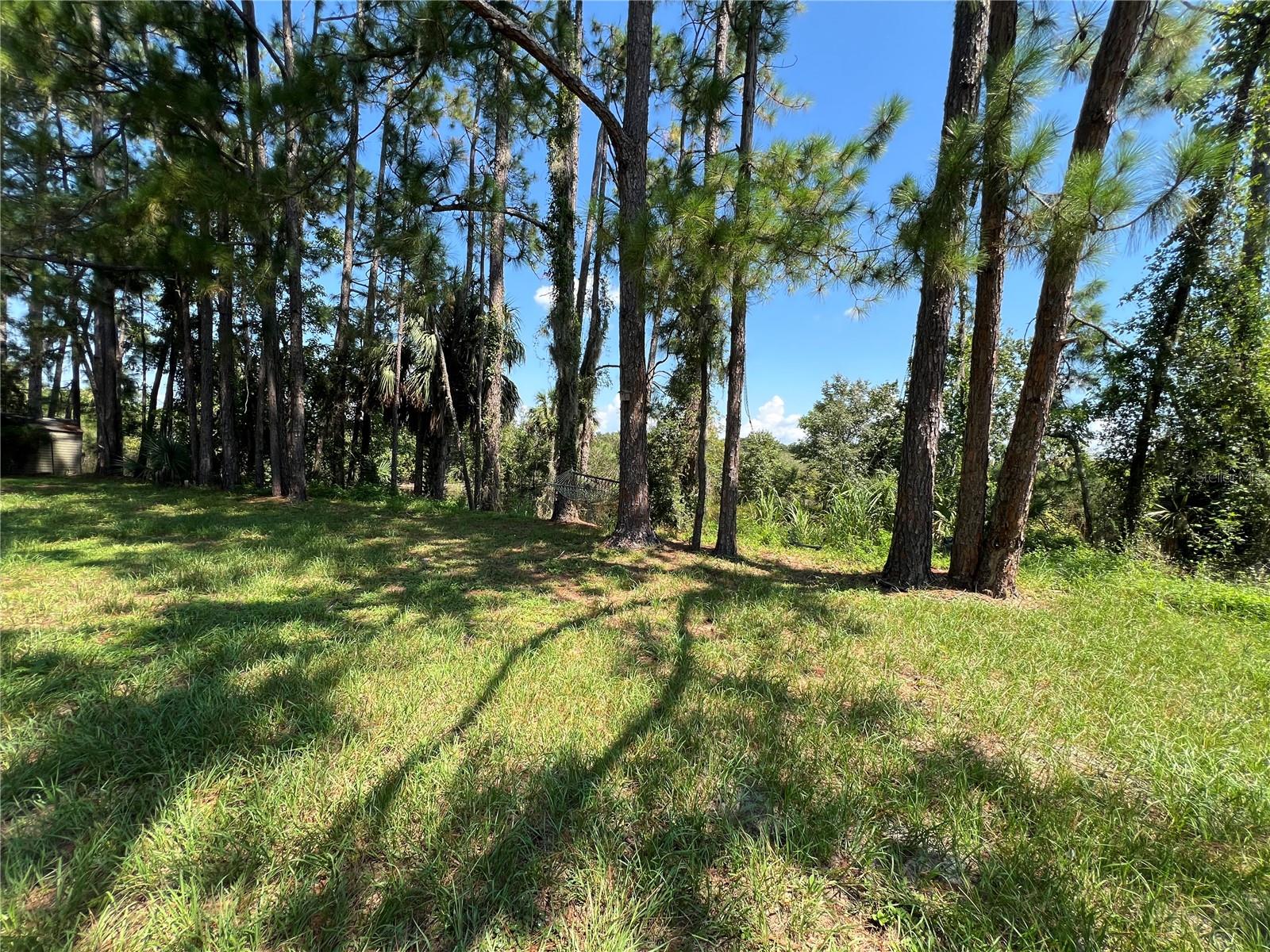 1498 Stone Trl Property Photo 6