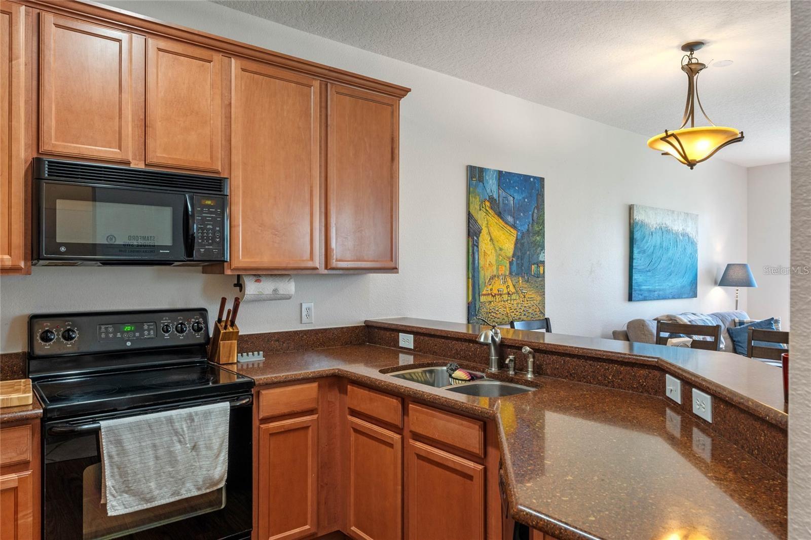 5896 Strada Capri Way Property Photo 7