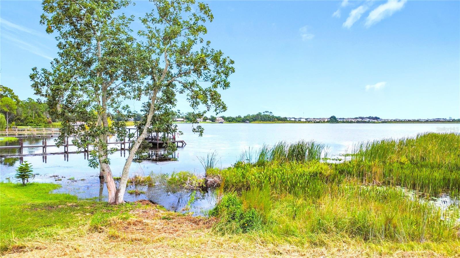 2615 Hickory Tree Rd Property Photo 8