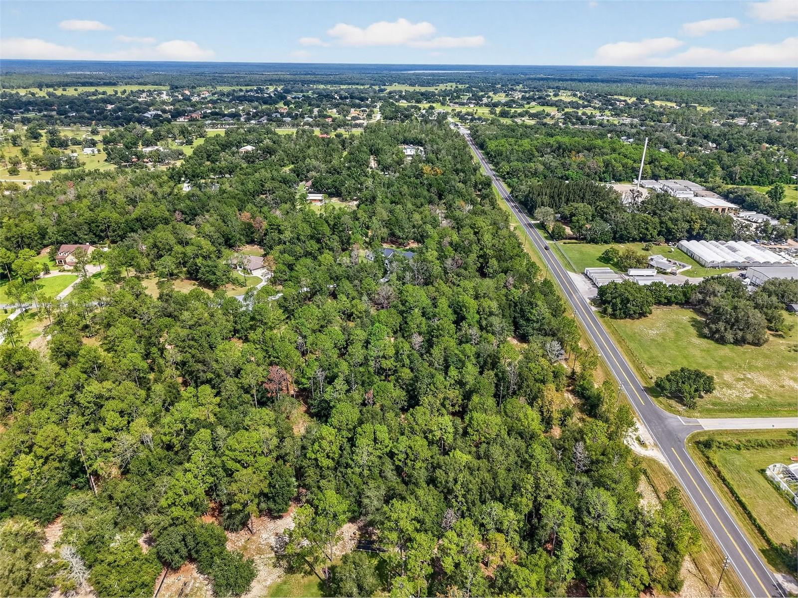 35734 High Pines Dr Property Photo 10