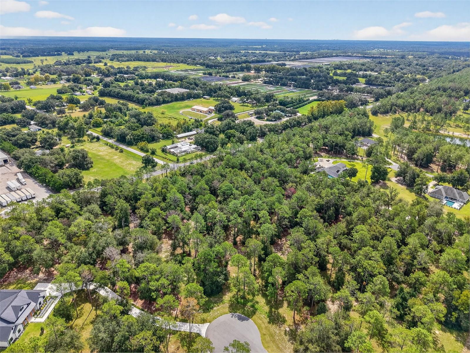35734 High Pines Dr Property Photo 11
