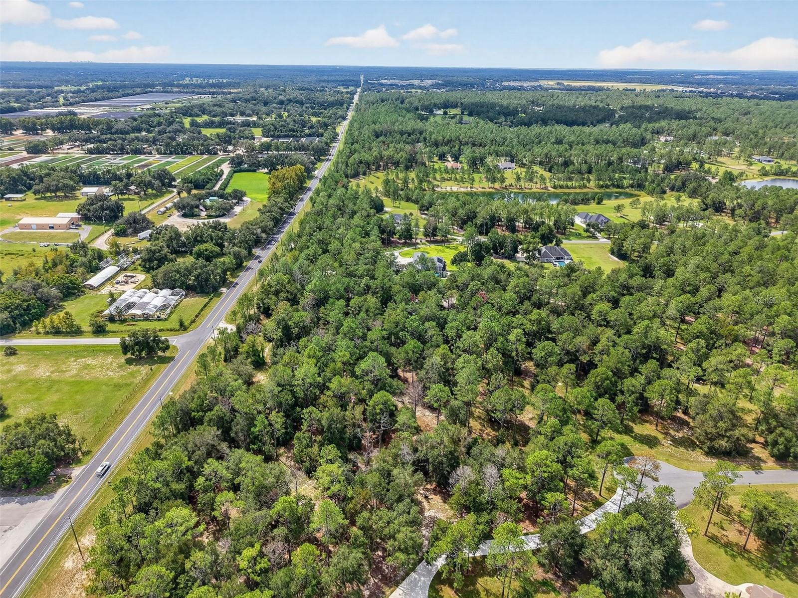 35734 High Pines Dr Property Photo 17