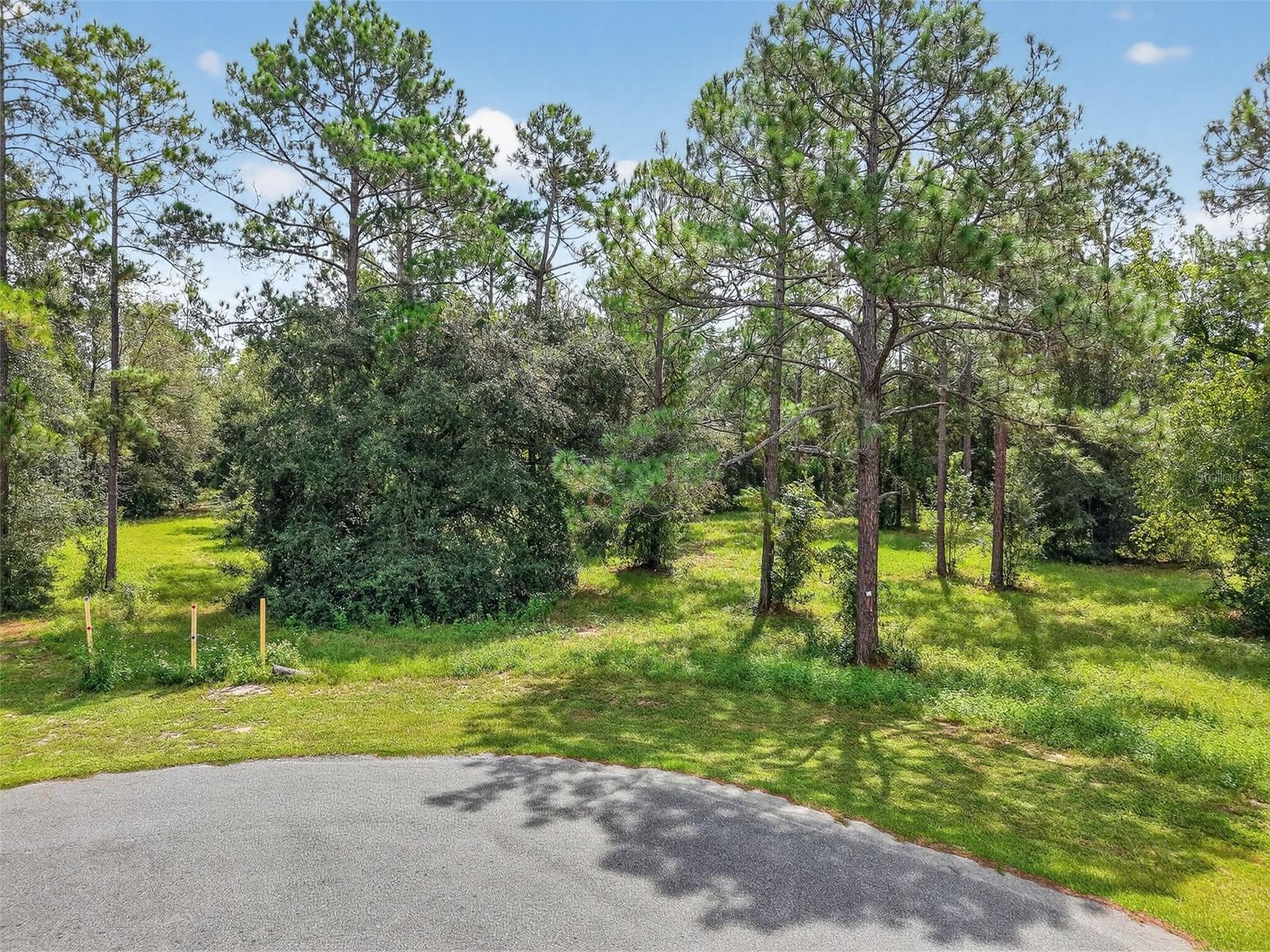 35734 High Pines Dr Property Photo 19