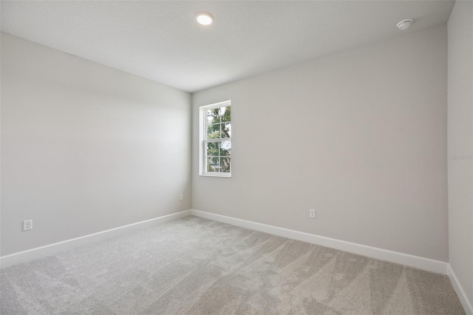 3802 Wolves Creek Pl Property Photo 27