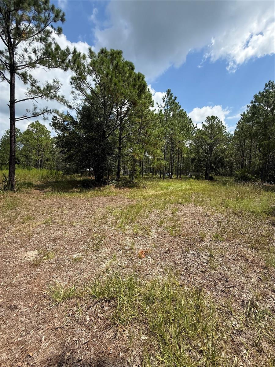 60 Natalies Ln Property Photo 27