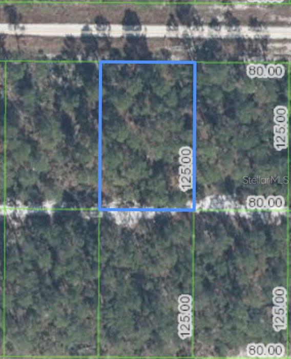 629 PARAKEET AVE Property Photo 1