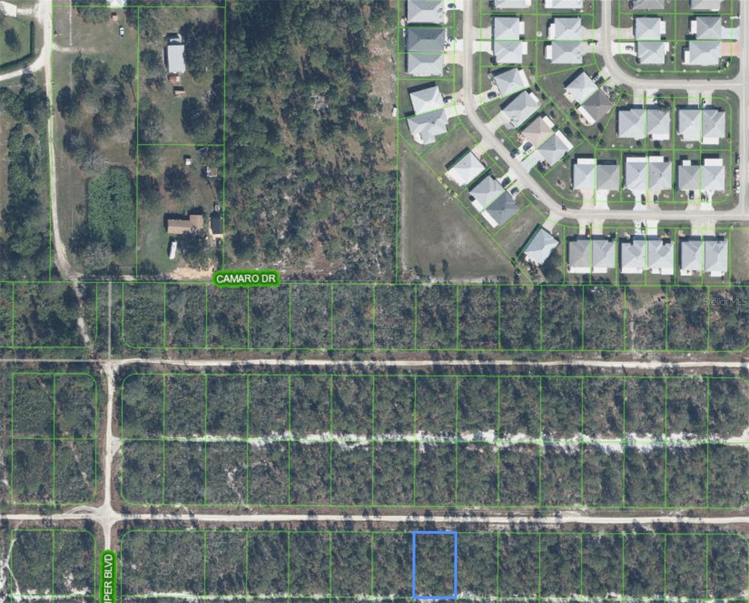 629 Parakeet Ave Property Photo 2
