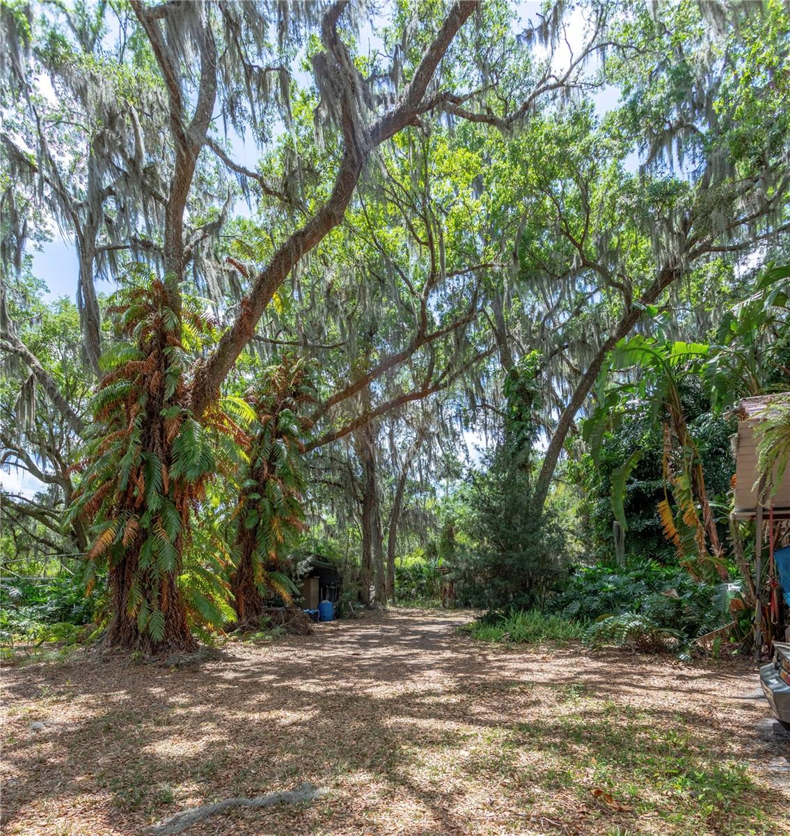 O6344072 Property Photo 17