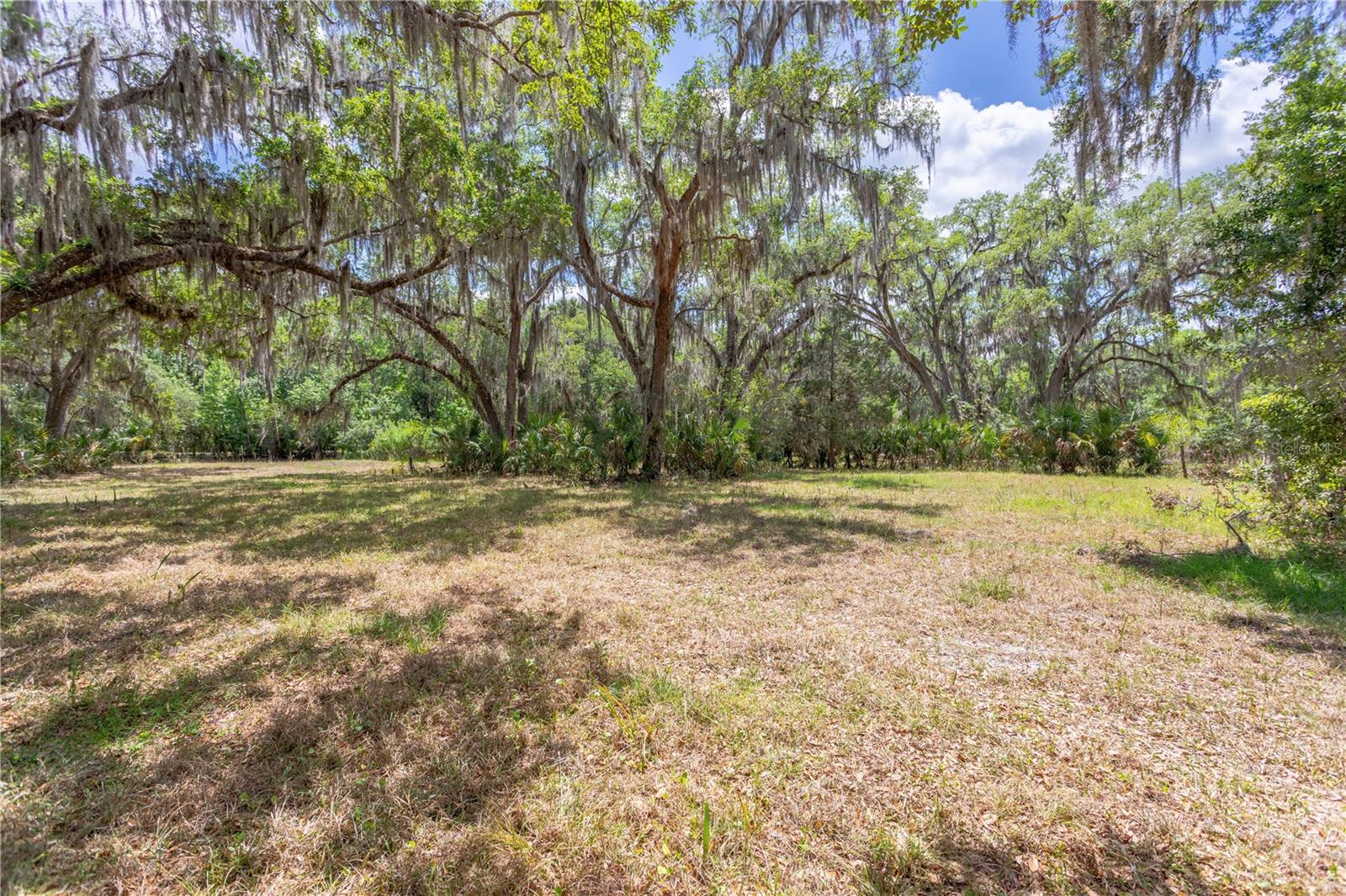 O6344072 Property Photo 23