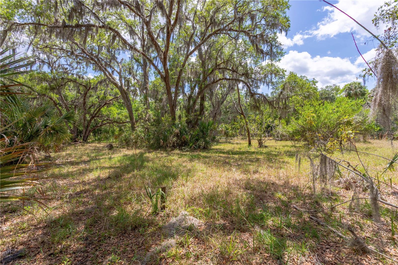 O6344072 Property Photo 25