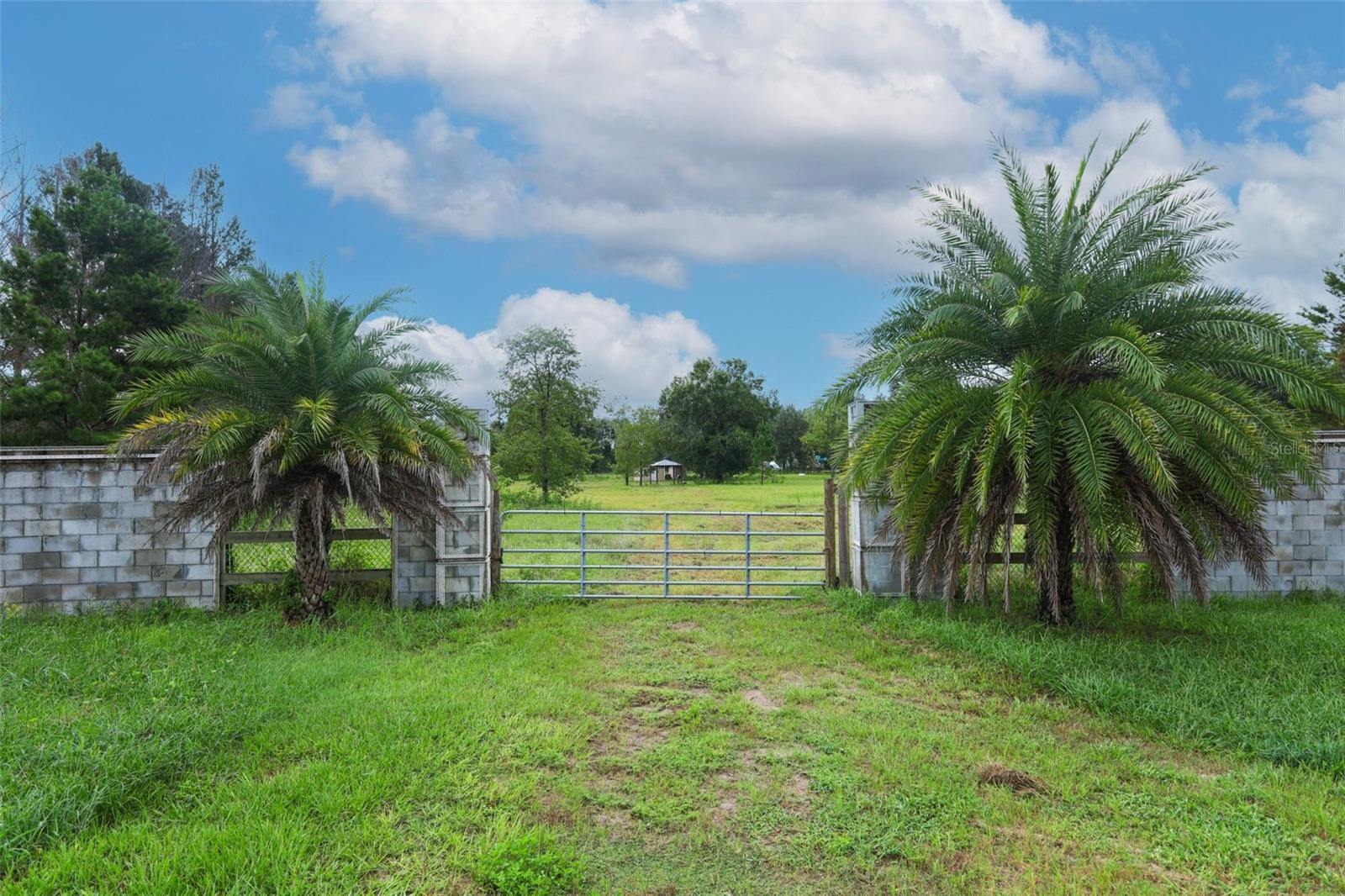 34534 Tree Frog Ln Property Photo 3
