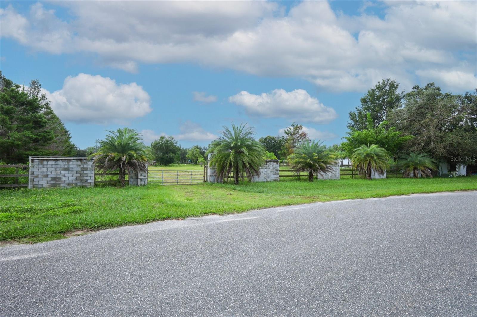 34534 Tree Frog Ln Property Photo 4