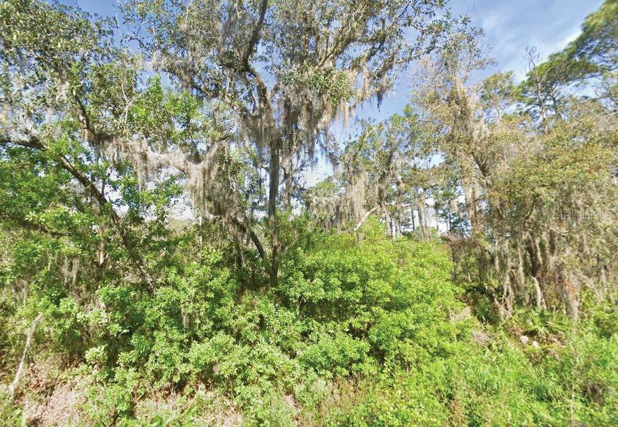119 Temple Ave Property Photo 1
