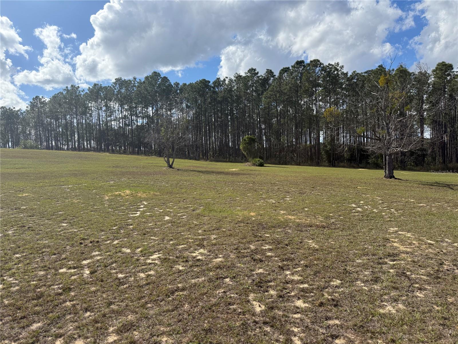 14520 Lost Lake Rd Property Photo 36