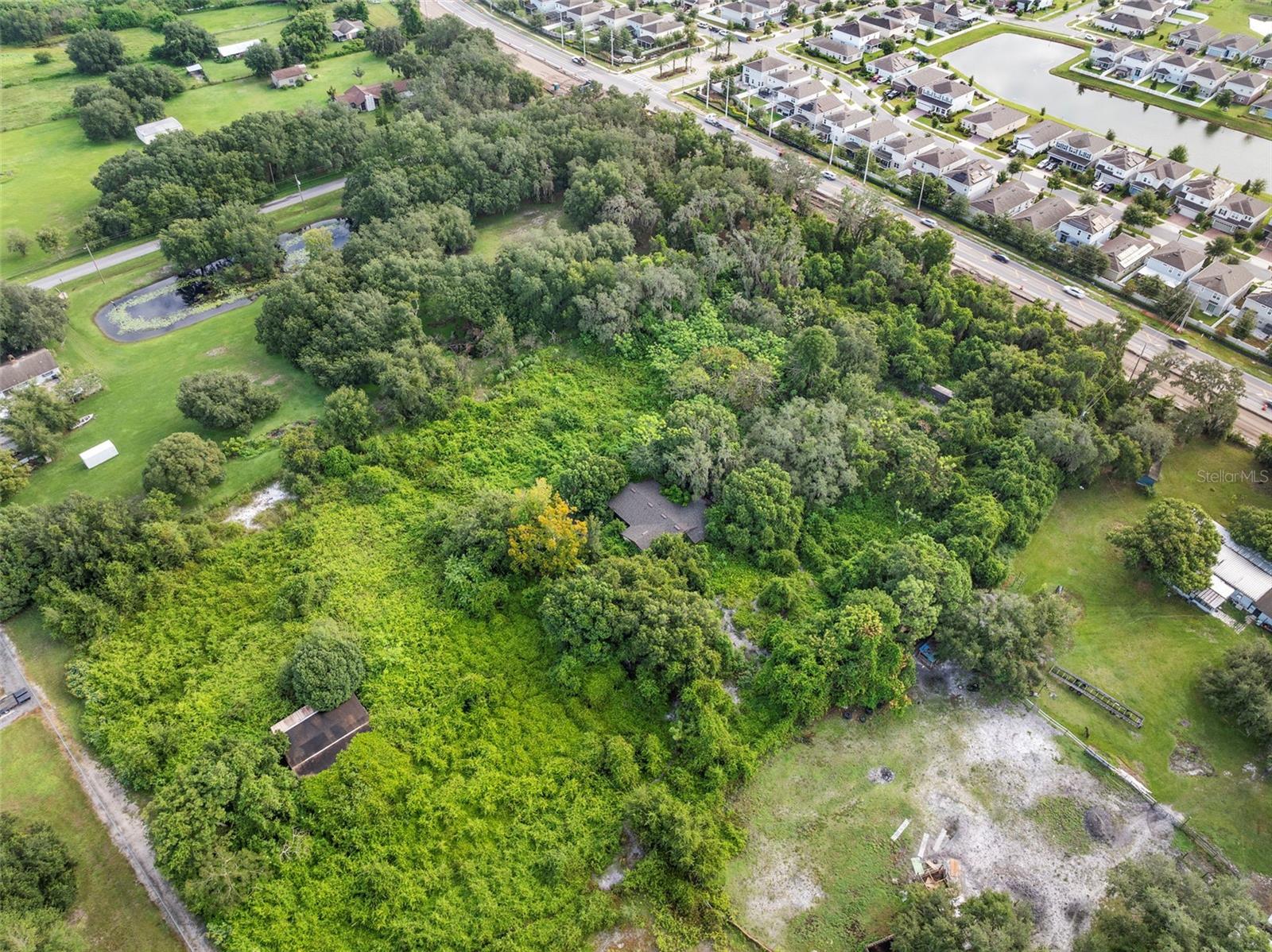 4345 Boggy Creek Rd Property Photo 6