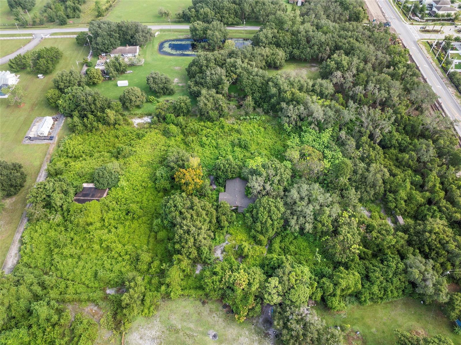 4345 Boggy Creek Rd Property Photo 20