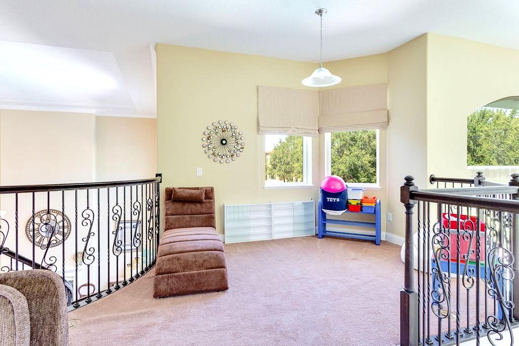 13448 Bellaria Cir Property Photo 41