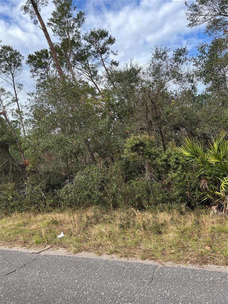 Fishermans Rd Property Photo 2