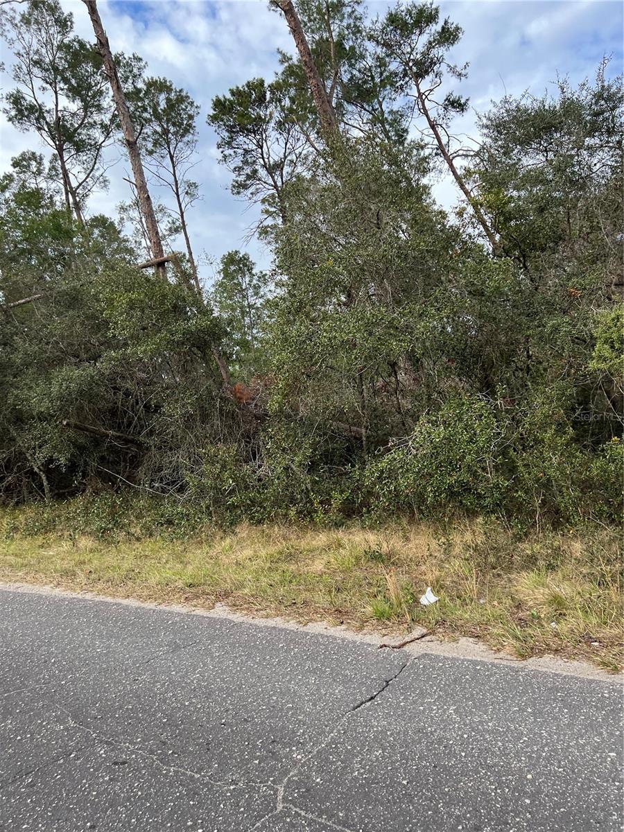 Fishermans Rd Property Photo 3