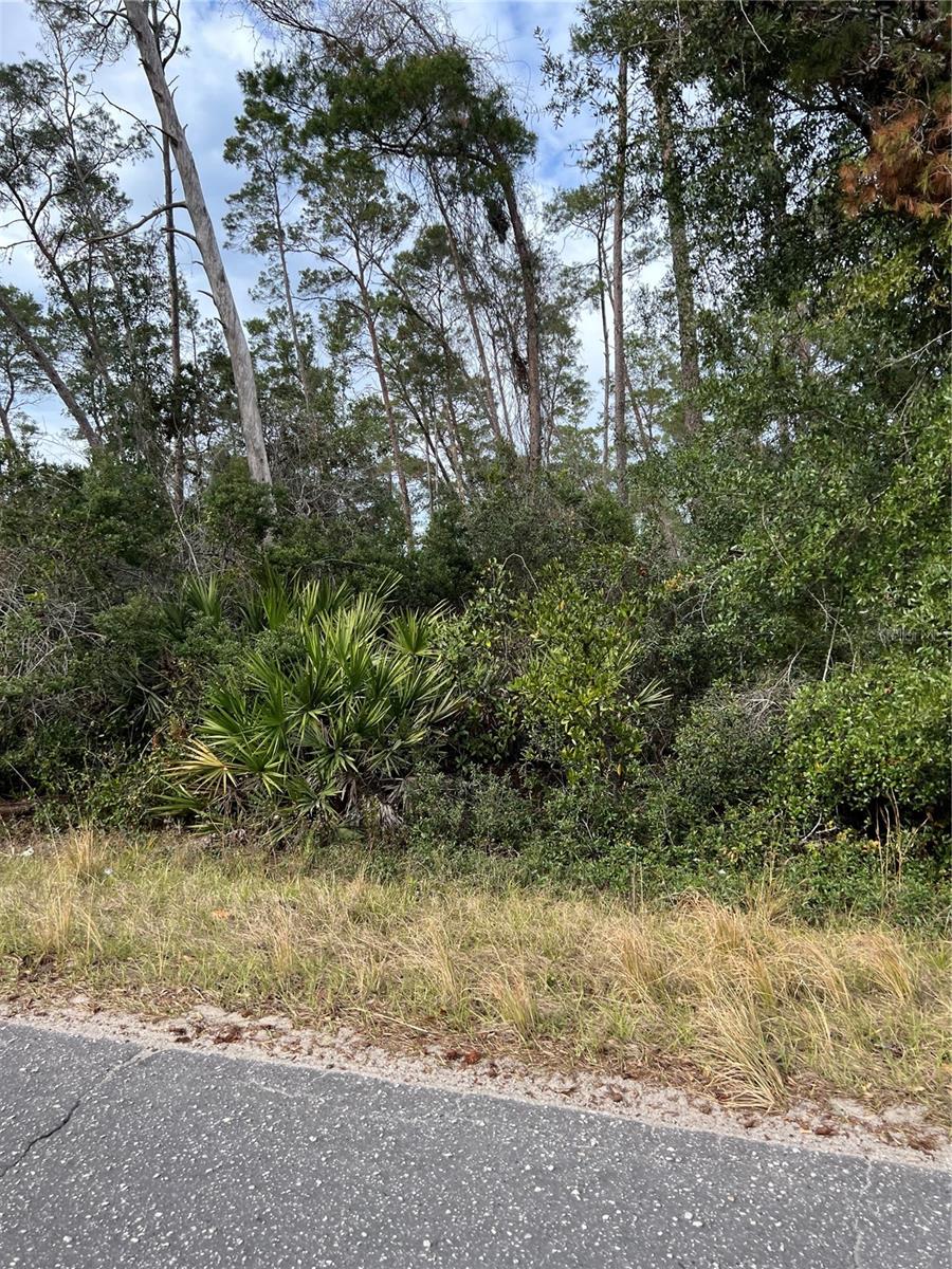Fishermans Rd Property Photo 4