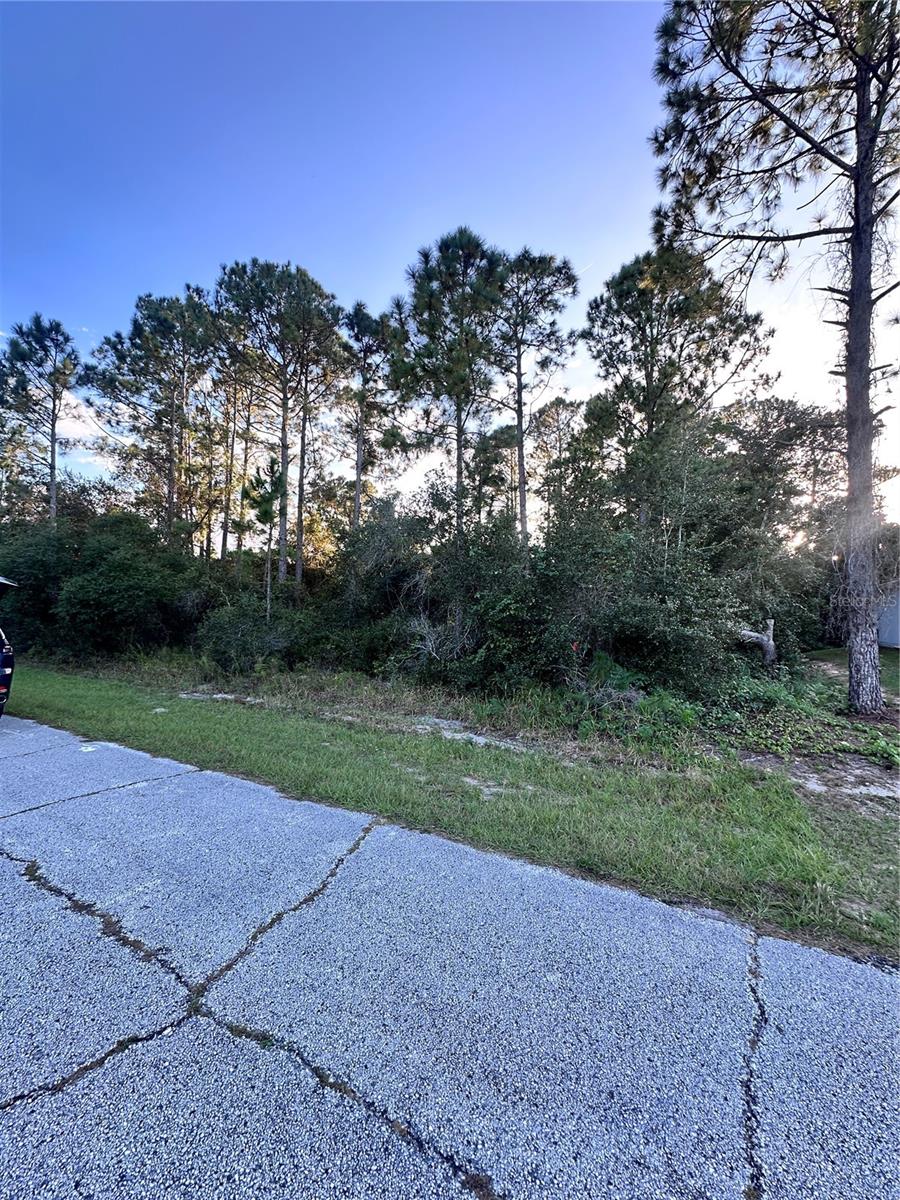 1548 Mediterranean Dr Property Photo 3