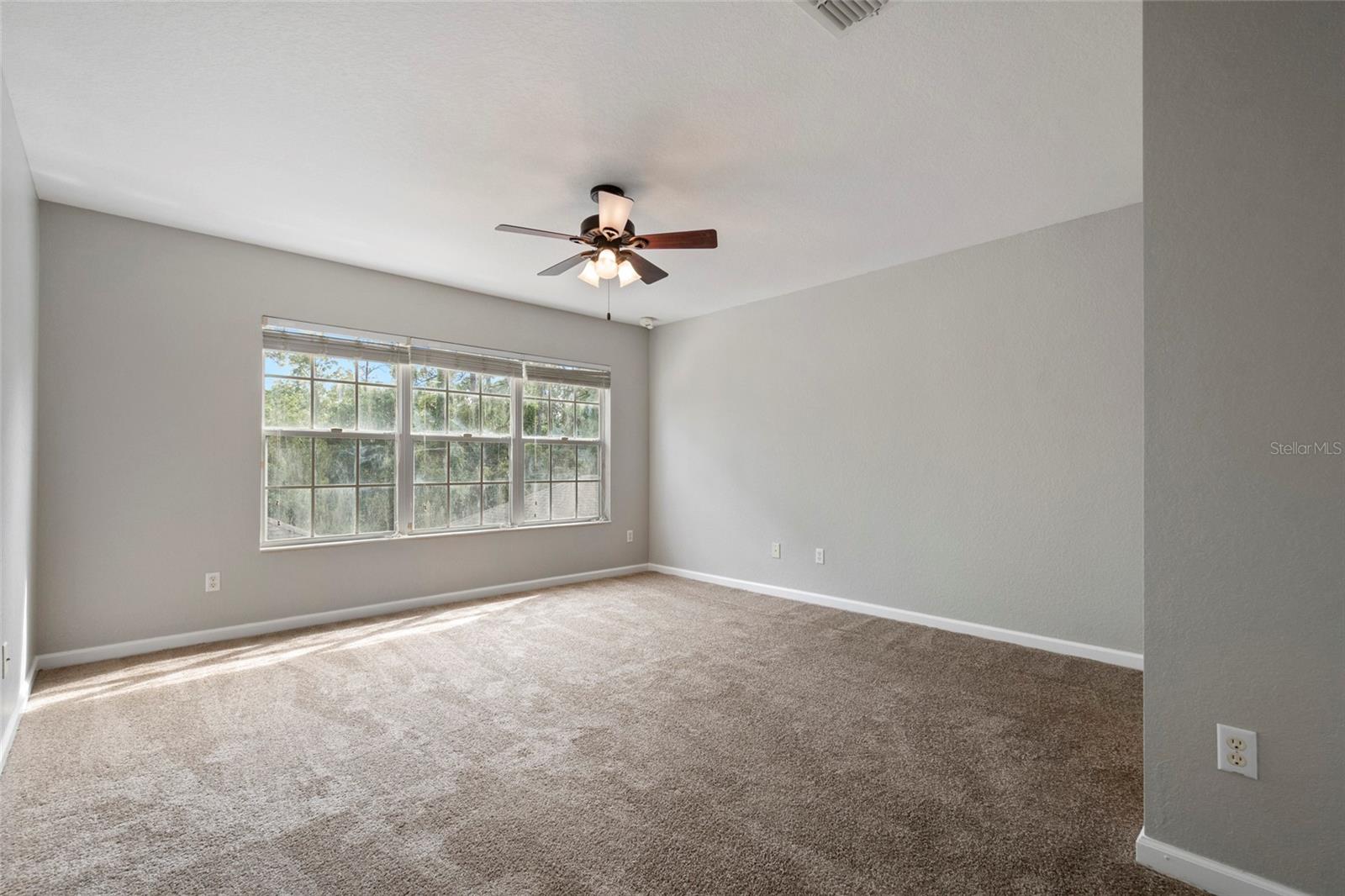 12934 Vennetta Way Property Photo 29