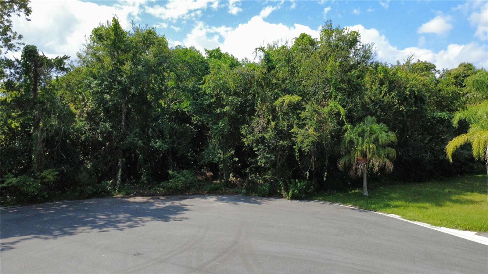 2016 Grandview Ave N Property Photo 10