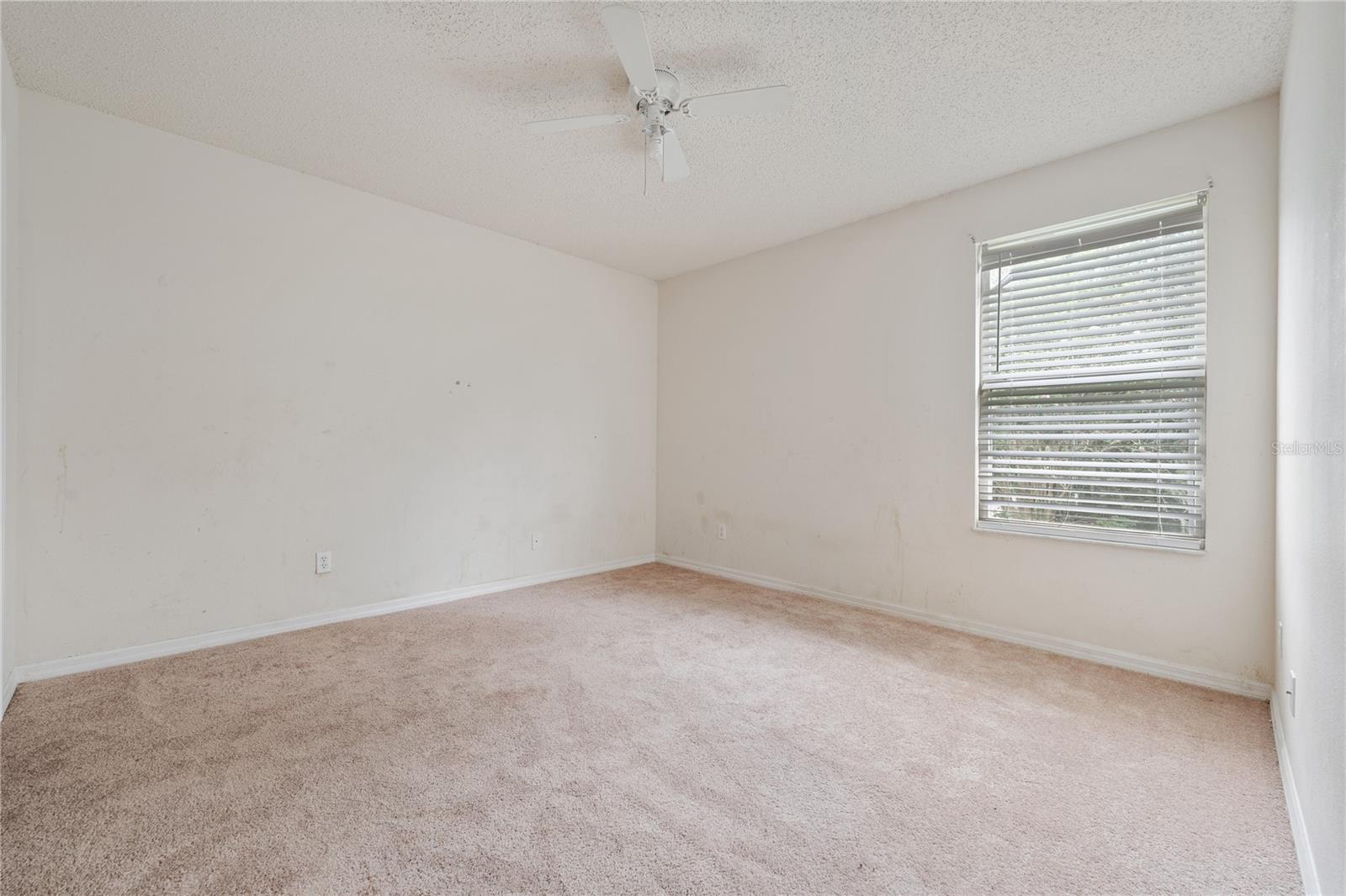 115 Walnut Crest Run Property Photo 17