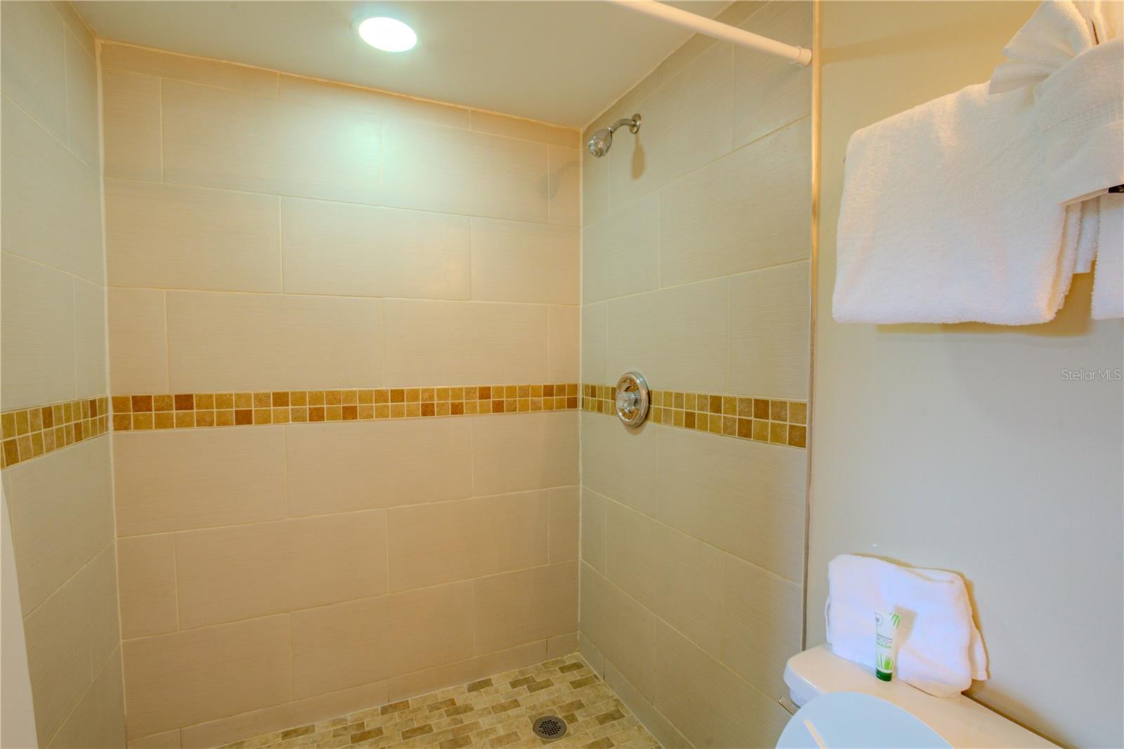 500 Burton Dr #4204 Property Photo 34